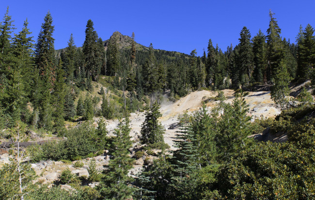 Обои картинки фото природа, горы, лес