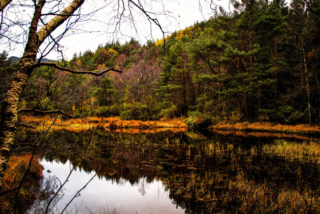 Обои картинки фото природа, реки, озера, лес, простор, река