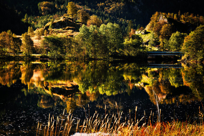 Обои картинки фото природа, реки, озера, отражение, река, лес