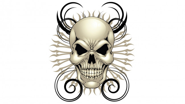 Обои картинки фото рисованное, минимализм, череп