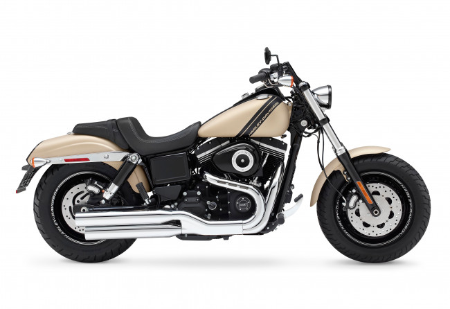 Обои картинки фото мотоциклы, harley-davidson