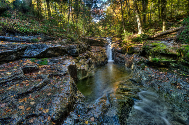 Обои картинки фото природа, реки, озера, река, лес