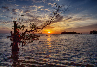 Картинка природа восходы закаты рассвет