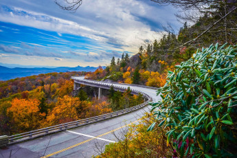 Картинка природа дороги шоссе