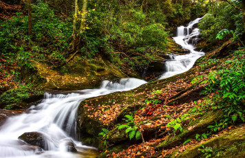 Картинка природа реки озера река лес