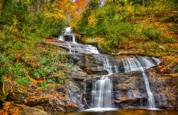 Картинка природа водопады водопад река лес