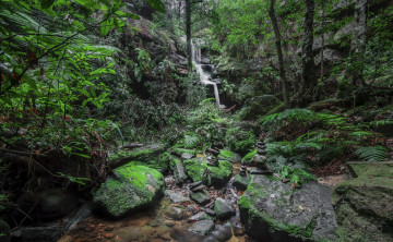 Картинка природа водопады водопад река лес