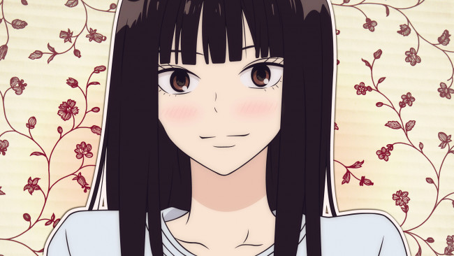 Обои картинки фото аниме, kimi ni todoke, девушка