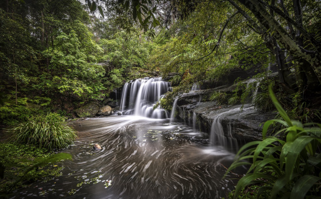 Обои картинки фото природа, водопады, водопад, река, лес