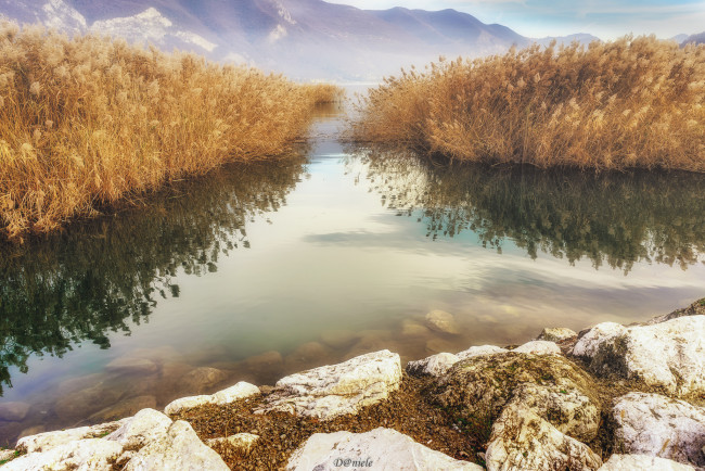 Обои картинки фото природа, реки, озера, лес, река