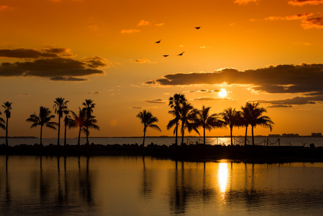 Обои картинки фото природа, тропики, рассвет