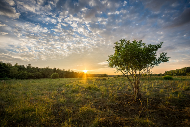 Обои картинки фото природа, восходы, закаты, рассвет