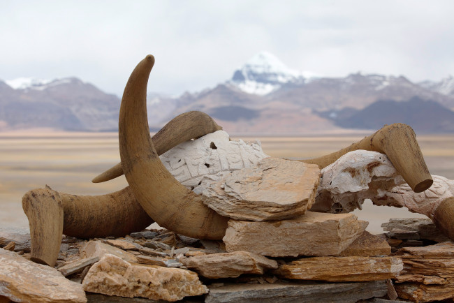 Обои картинки фото тибет заброшенный монастырь тсепгье,  культовые приношения, разное, религия, ламаизм, буддизм, приношение, монастырь, культ, заброшенный, тибет