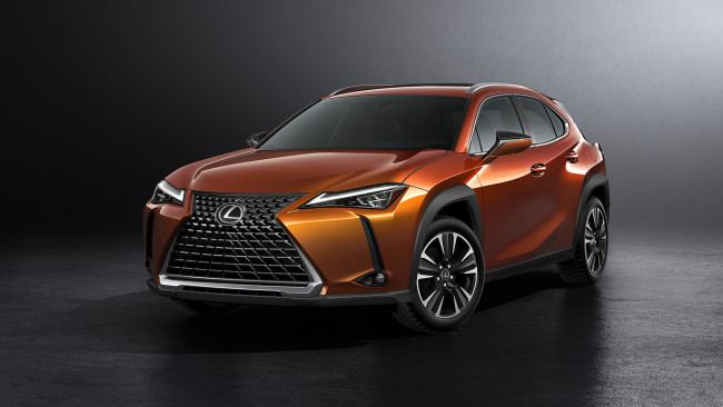 Обои картинки фото lexus ux 2019, автомобили, lexus, crossover, бронза, 2019, ux