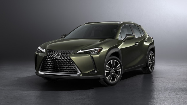 Обои картинки фото lexus ux 2019, автомобили, lexus, crossover, 2019, ux