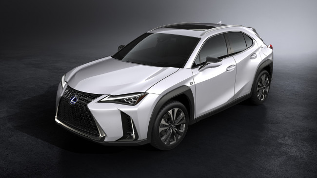 Обои картинки фото lexus ux f sport 2019, автомобили, lexus, f, ux, sport, 2019, белый