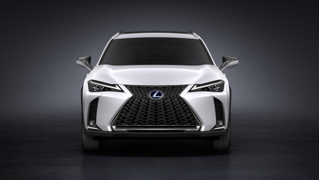Обои картинки фото lexus ux f sport 2019, автомобили, lexus, sport, 2019, белый, f, ux