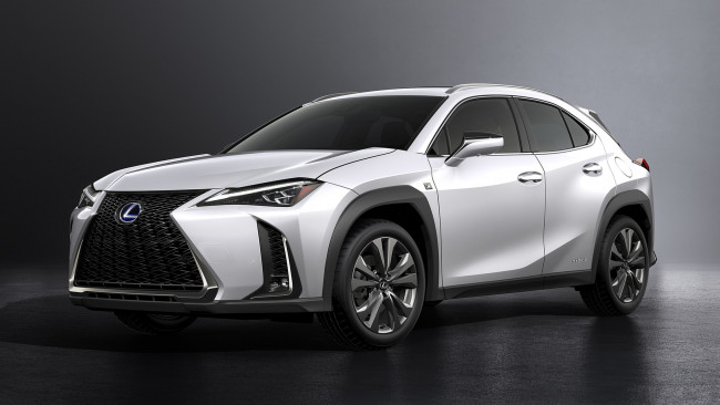 Обои картинки фото lexus ux f sport 2019, автомобили, lexus, ux, белый, 2019, sport, f