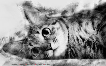 Картинка календари компьютерный+дизайн кот кошка