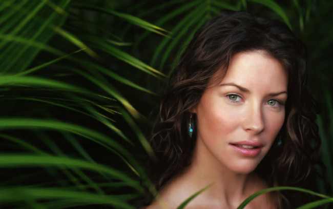 Обои картинки фото девушки, evangeline lilly, актриса, листья, лицо