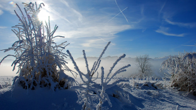 Обои картинки фото природа, зима, снег, сугробы