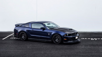 Картинка автомобили mustang ford rtr