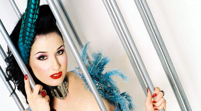 Обои картинки фото девушки, dita von teese, брюнетка, перья, ошейник, клетка