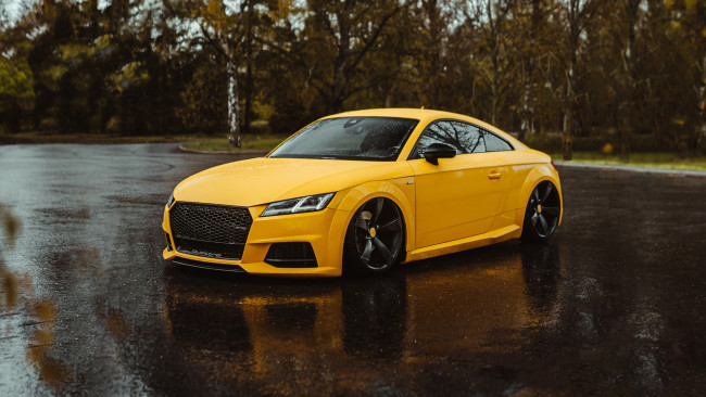 Обои картинки фото автомобили, audi, tt