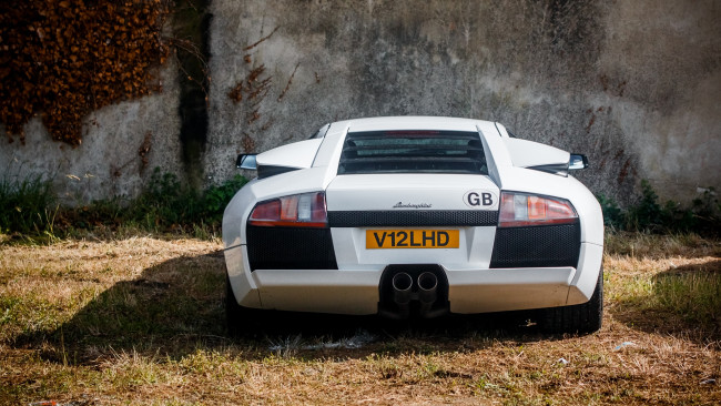 Обои картинки фото автомобили, lamborghini, murcielago