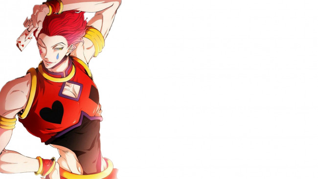 Обои картинки фото хисока, аниме, hunter x hunter, охотник, х