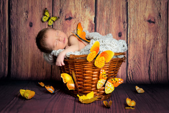 Картинка разное дети ребенок корзина бабочки