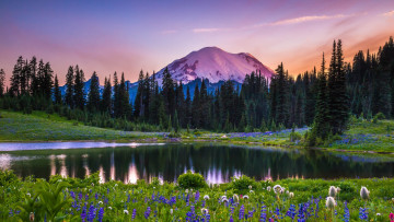Картинка tipsoo+lake mount+rainier+np washington природа реки озера tipsoo lake mount rainier np
