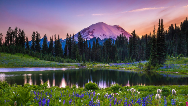 Обои картинки фото tipsoo lake, mount rainier np, washington, природа, реки, озера, tipsoo, lake, mount, rainier, np