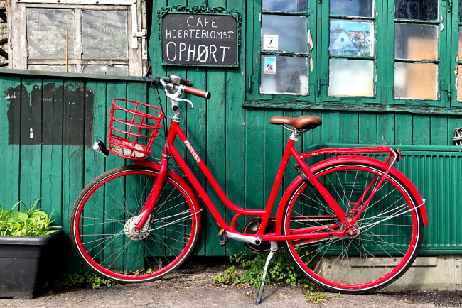 Обои картинки фото техника, велосипеды, велосипед