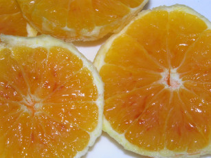 обоя еда, цитрусы