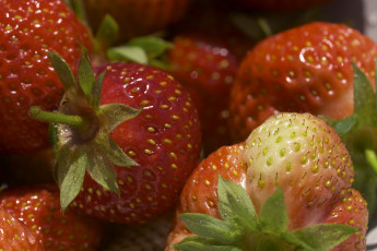 Картинка еда