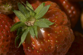 Картинка еда