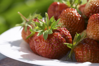 Картинка еда