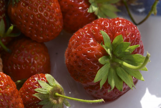 Обои картинки фото еда