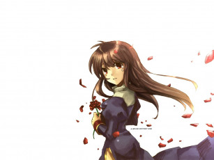 Картинка аниме ragnarok