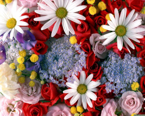 Картинка цветы разные вместе