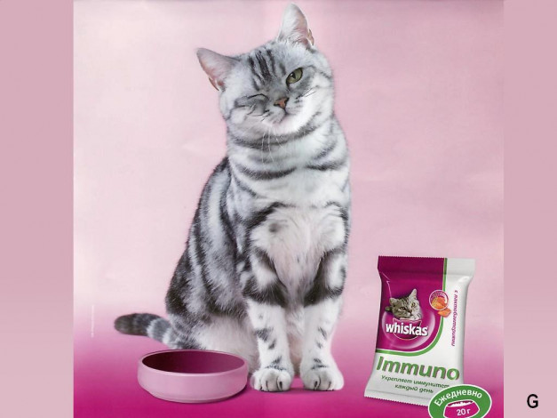Обои картинки фото бренды, whiskas