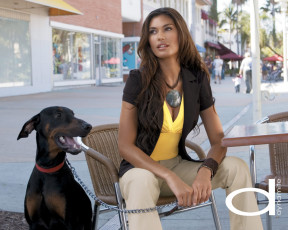 Картинка dynamite бренды