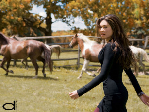 Картинка dynamite бренды