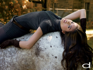 Картинка dynamite бренды