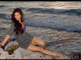 Картинка dynamite бренды