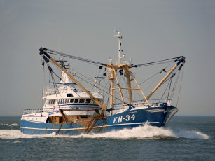 Картинка корабли другое