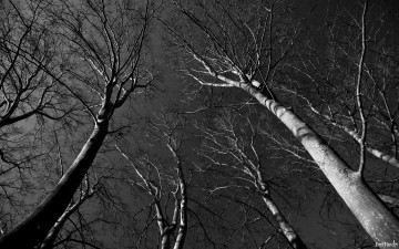 Картинка природа