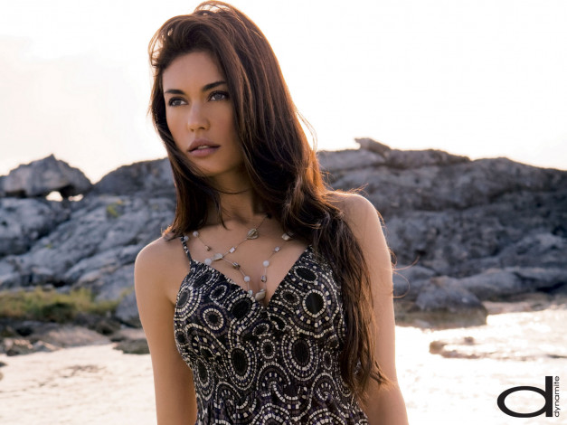 Обои картинки фото dynamite, бренды