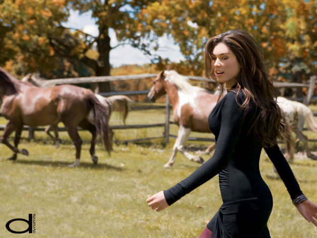 Обои картинки фото dynamite, бренды